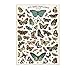 Cavallini Decorative Paper - Nos Bons Papillons 20"x28" Sheet
