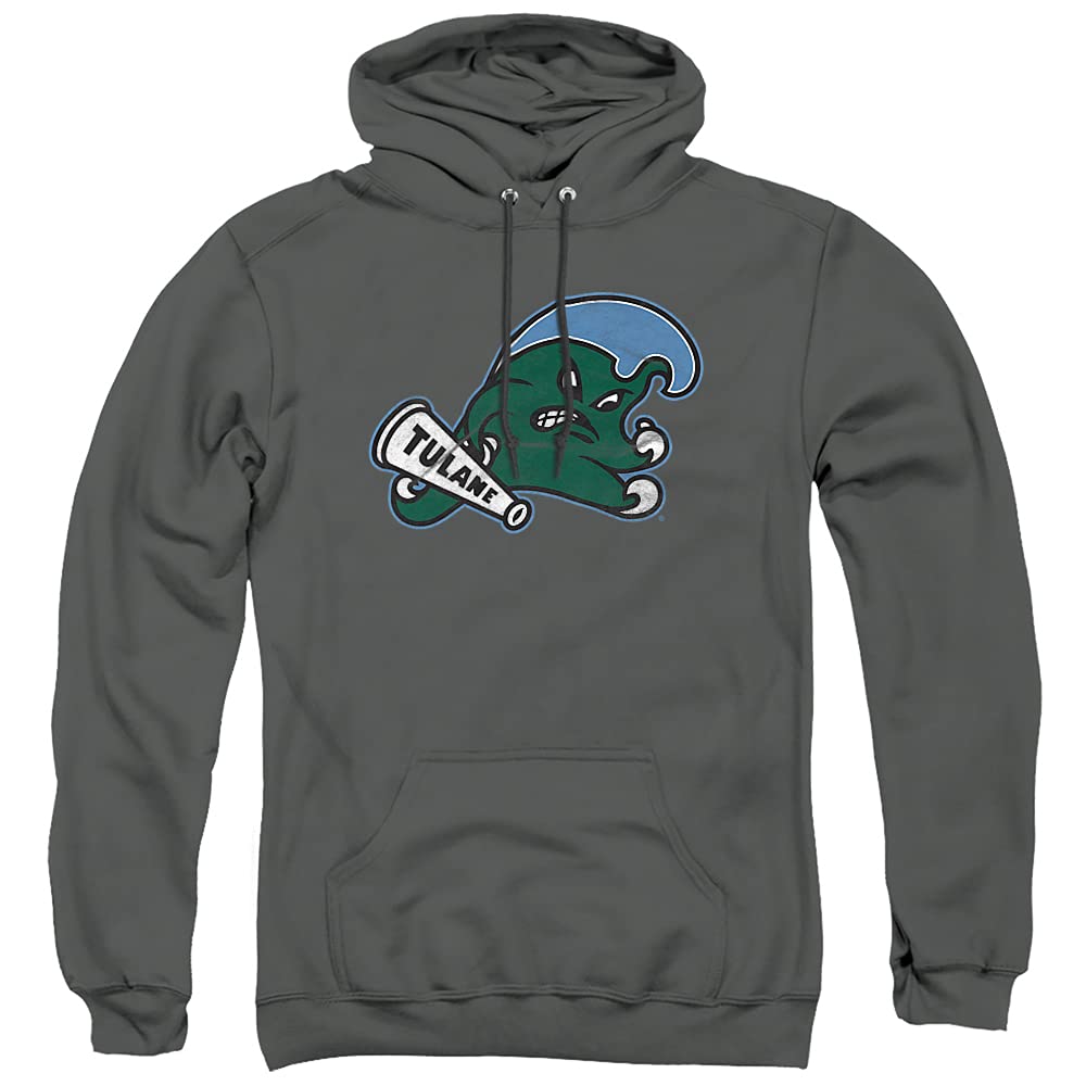 LOGOVISION Official Collegiate Distressed Primary Logo Adult Pullover Hoodie Collection — view 238