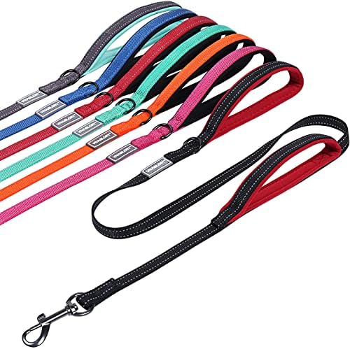 Vivaglory Dog Training Lead with 2 Padded Handles, Heavy Duty 6ft Long Reflective Safety Walking Leash for Medium to Large Dogs, Blue