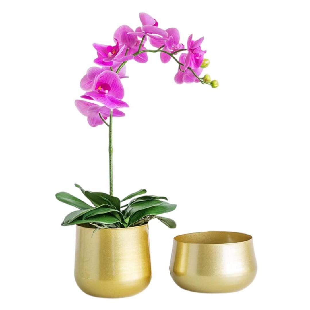 Pots de fleurs en métal avec drainage Gcroet pour éviter le pourrissement de vos succulentes