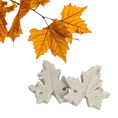 AK ART KITCHENWARE Gumpaste Flower Kit Leaf and Petal Veiners Silicone Veining Molds Fondant Tools Cake Decorating Supplies (VM141)