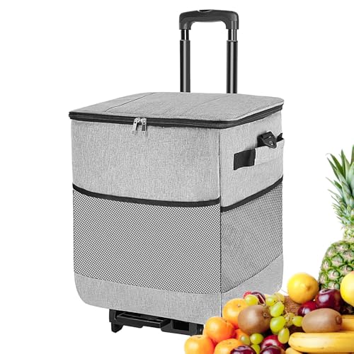 YNPQTDS Hielera con Ruedas - Portátil Grande con Aislamiento 35 litros Y Ruedas,Caja Aislada Reutilizable Carro Portátil para Viajes Camping Playa Fiesta Picnic Excursiones Exteriores