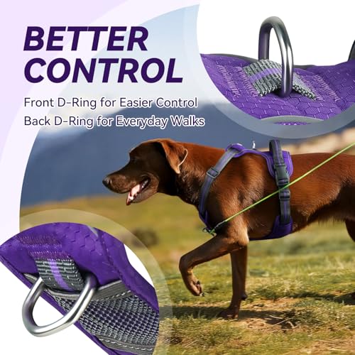 VIVAGLORY Easewalk Hundegeschirr, Anti Zug Hundegeschirr für Training & Spazieren, Anti Zieh Geschirr Welpengeschirr Mit Griff, Ausbruchsicher & Non-Stop für Welpe Hunde, XS, Lila - Patterned