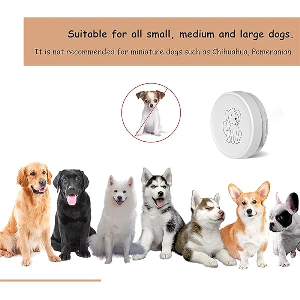 Self-Powered Dog Potty Training Door Bell