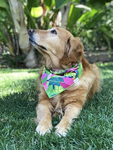 Willowear Dog Bandanas Eden Large #TOP3