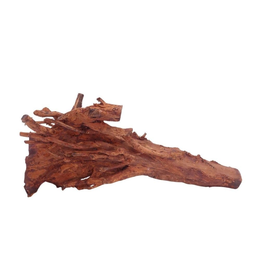 AquaOne Aquarium Wurzel L Jungle Wood Nr.4516 Aquarium Wurzel Holz Deko Aquascaping Dekoration Landschaft Moos Natur Echtholz