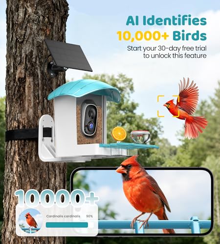 image for IUUZEUL Bird Feeder with Camera Solar Powered: Smart Bird Feeders for 