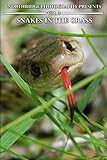 Snakes In The Grass (Northridge Photography Presents)