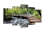 Canvas Print Picture - 5 Piece - Total size: Width 59,1"(150cm), Height 39,4"(100cm) Completely fram