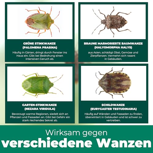 Silberkraft Stinkwanzenspray 500 ml, Effektiver Sofort- und Langzeitschutz gegen Stinkwanzen, ideal für Fenster, Türen, Fassaden und Wohnräume, Mit Repellent-Wirkung für nachhaltige Abwehr