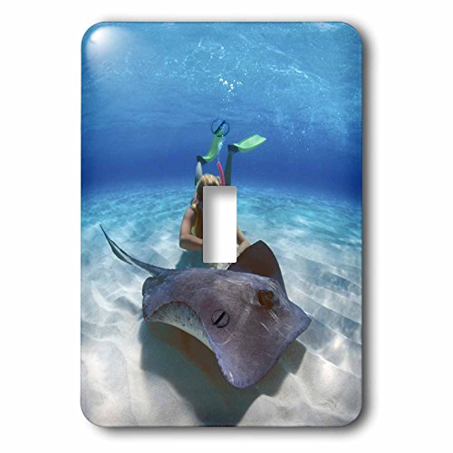 Stingray City commande éclairage design marin et finition brillante