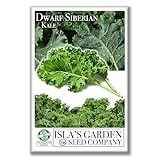 Dwarf Siberian Kale Seeds (Brassica oleracea) – 500+ Non-GMO & Heirloom Seeds for Planting, Cold-Hardy Leafy Green with Tender, Flavorful Leaves, by Isla’s Garden Seeds, Gift Idea