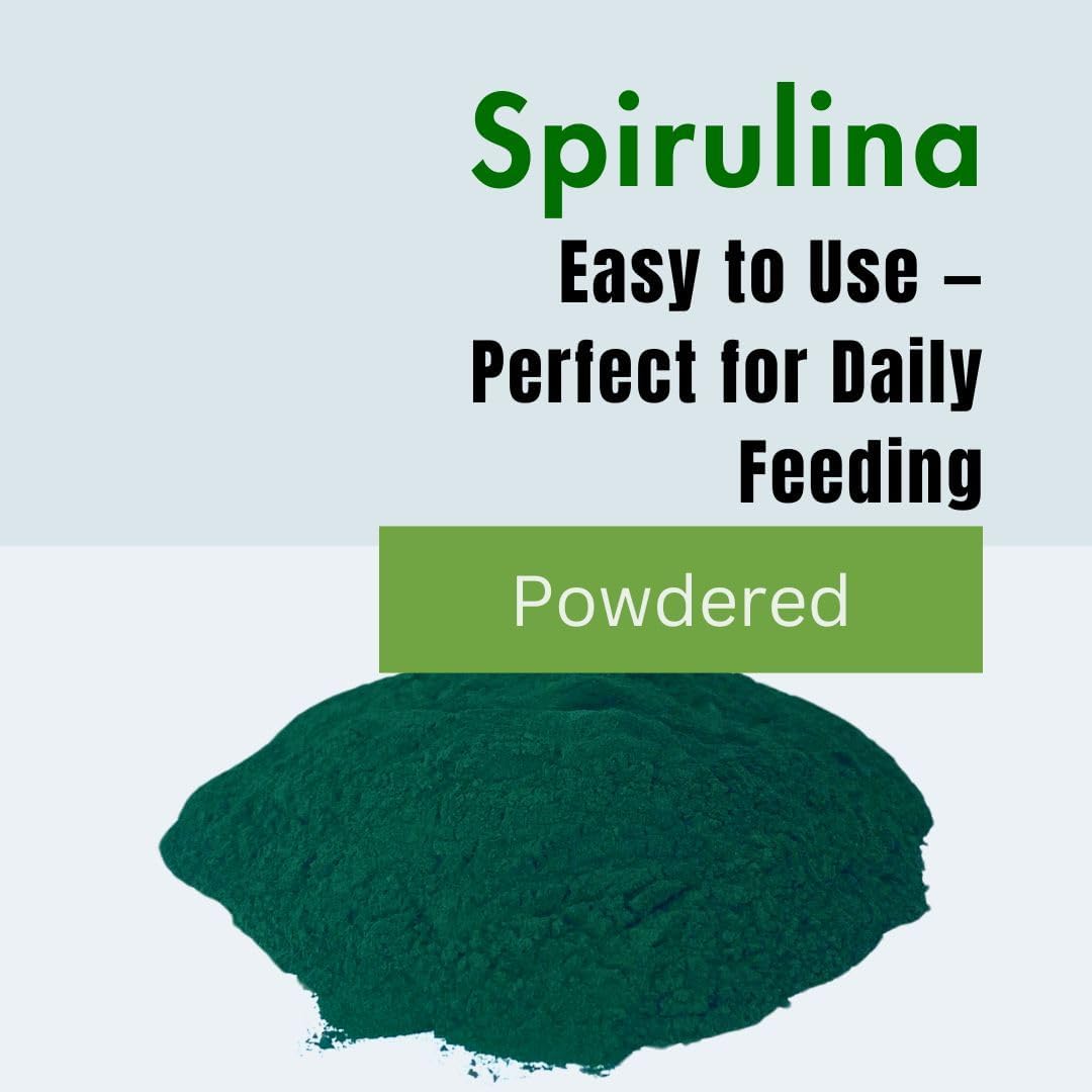 PINETA Spirulina Powder Organic 200g - Spirulina Supplement Bird Food for Canaries and Granivorous Birds - 100% Natural, Immune Support Supplement, Promotes Healthy Molting, Bright Feathers