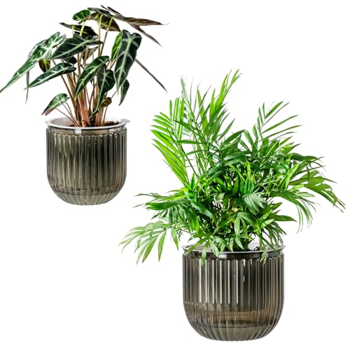 Melphoe Self Watering Pots for Indoor Plants Planter 6.5/5.3 Inch 2 Pack Planters Self Watering Plant Pots for Flower Houseplants Succulent African Violets and Cactus with Drainage