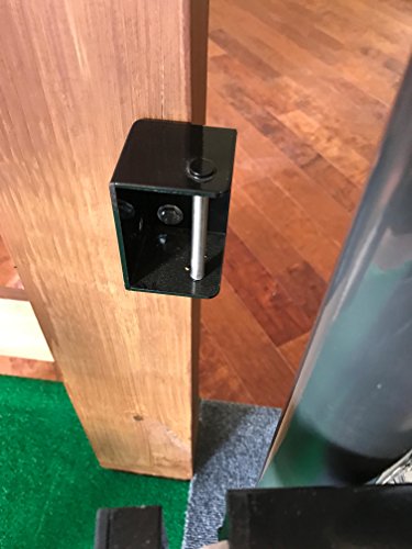 Ghost Controls AXZL ZombieLock Automatic Gate Lock for Automatic Gate Openers
