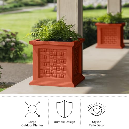 Macetero de ratán de 37 cm terracota para jardín y exterior 5