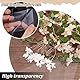 AHANDMAKER 8 Blatt Klares PET Blatt 9.84 x 9.84 Zoll Transparent 0.5mm Dünne Kunststoffplatten Dünne Acrylplatte Zum Basteln Bilderrahmen Malerei DIY Display