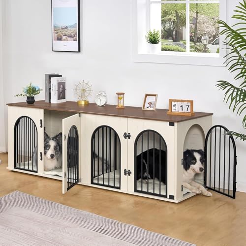 Stylish Double Dog Crate with Cushion
