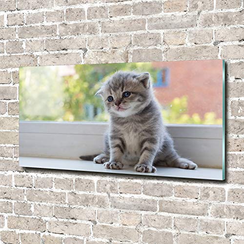 Tableau plexiglas incassable grand format chat gris 140x70cm - 3