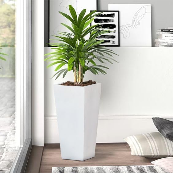 Gardenix Decor Big Size Planter Pot for Indoor and Outdoor White Height: 18 inch Width 15 Inch Length 15 Inch (B0CX1Z7PBX) Amazon Price History, Amazon Price Tracker