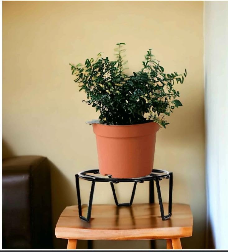 See full amazon price history chart for Stand for outdoor garden Pot Stand| Green Plant| Stand for outdoor garden Pot Stand | Balcony Plant Stand, Flower Pot Holder, Outdoor Plant Stand, Pot Stands for Plants, Indoor Plant Stand Stand for outdoor garden Pot Stand| Green Plant| Stand for outdoor garden Pot Stand | Balcony Plant Stand, Flower Pot Holder, Outdoor Plant Stand, Pot Stands for Plants, Indoor Plant Stand (B0D11G7M6L) Amazon Price History, Amazon Price Tracker