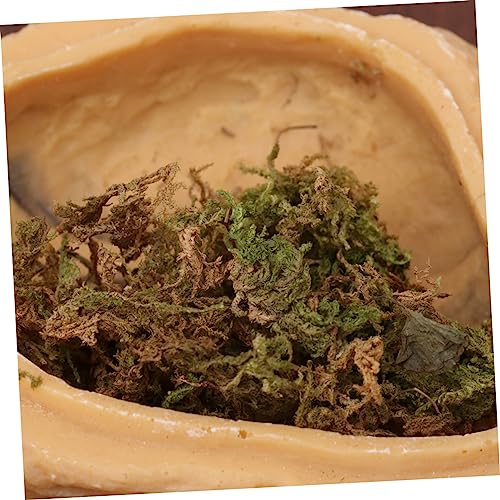 Supvox Kleine Crawler Versteckhöhle Für Reptilien Tropisches Regenwald Design Ideal Für Terrarien Als Versteck Für Leopardgeckos Und Andere Reptilien Farbe Und Muster Variabel