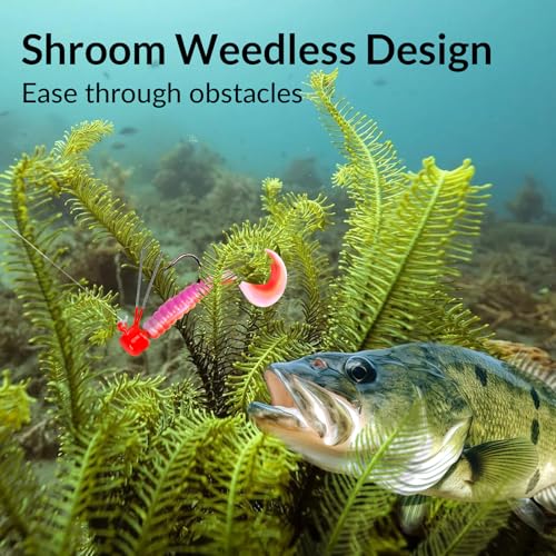 QualyQualy Ned Rig Jig Heads, Ned Rig Baits Kit for Bass Fishing, Crappie Jig Heads Mushroom Head Jigs Fishing Hooks Weedless 5 Popular Colors 25PCS, 1/8oz 1/6oz 1/5oz by QualyQualy - Image 5