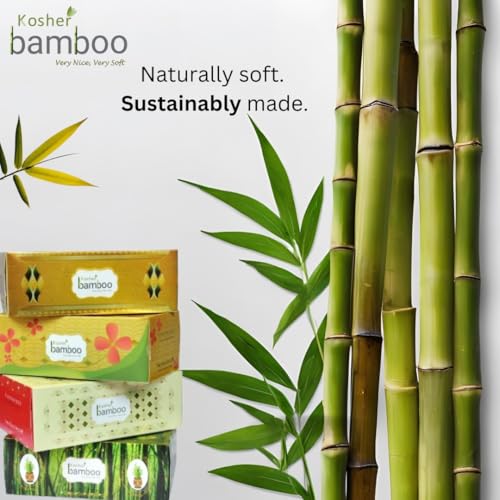 Image of Kosher Bamboo Facial Tissue Box - Pack of 4 - Made of Pure bamboo Pulp - 2 Ply - 100 pulls each (GoldCase)