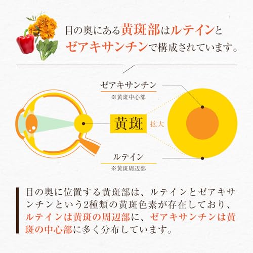 Nature In ルテインゼアキサンチンサプリ 90粒