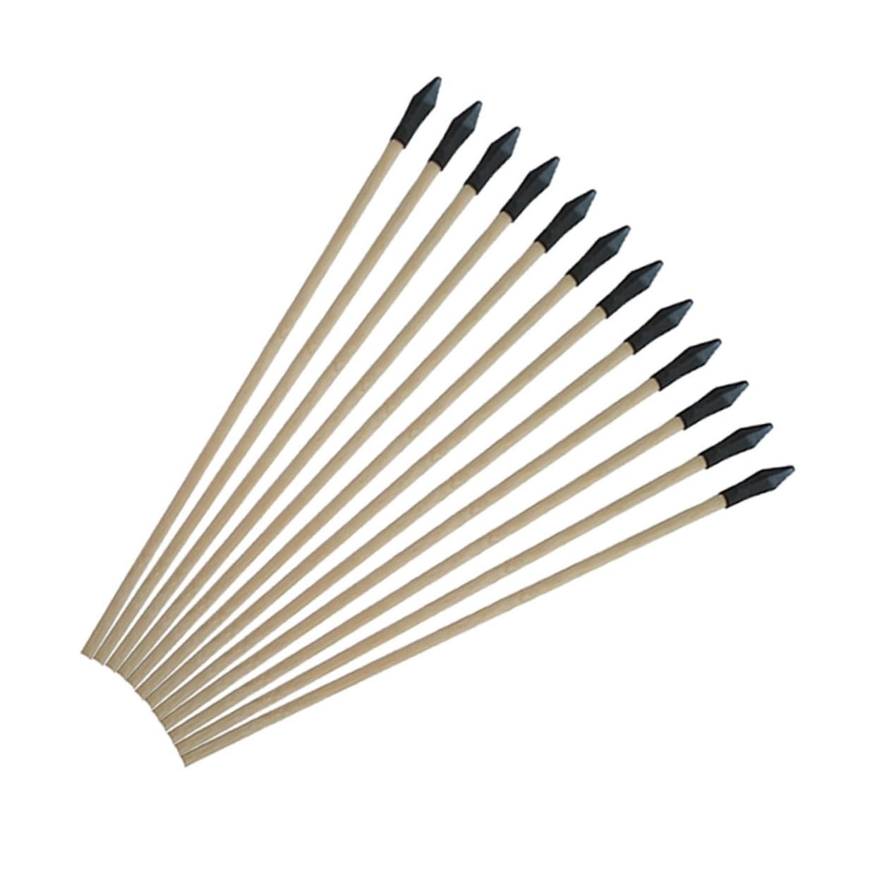 Hemoton 1set Funny Arrow Traditional Throwing Arrow Game Prop for Entertainment and Archery Training Safe Head for Outdoor Fun and Hunting Practice 6pcs