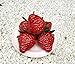 Aliotech 18PCS Plastic Artificial Red Strawberries Fake Lifelike Simulation Realistic Strawberry Artificial Fruits Decoration Photography Prop for Home Kitchen Decoration
