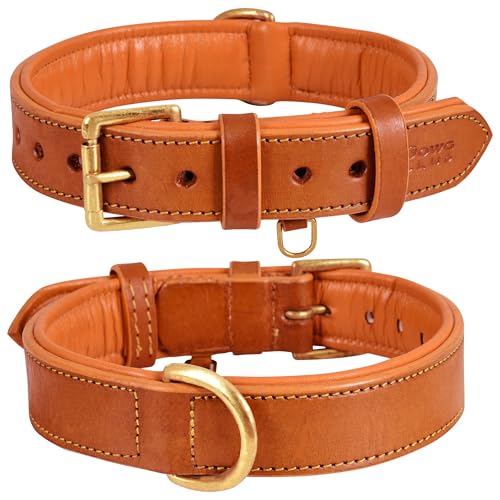 Image of Genuine Leather Dog Collar, Orange, Extra Large, Brass Buckle, Padded | 1.5 Inch Wide, Fit Neck Size - 22 inch - 26 inch, Double D Ring, Adjustable, Thick Leather, Heavy Duty, Soft Leather padding
