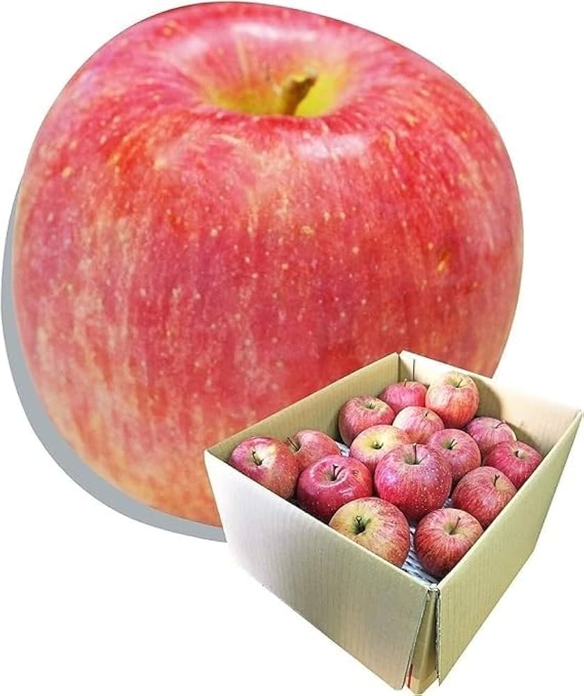 Amazon.co.jp: グルメ＆ギフトお取り寄せ 山形eLab 早生ふじ