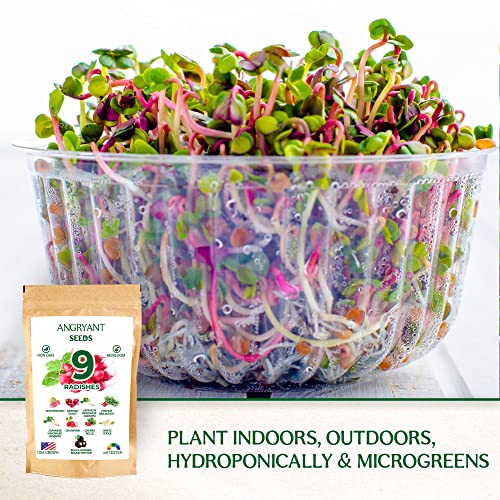 Radish Seeds 9 Variety Pack - Non Gmo, Heirloom Seeds For Planting Indoor, Outdoor, And Hydroponic Vegetable Garden - 100% Usa Grown - Including Champion, German Giant, Watermelon, Daikon And More #TOP3