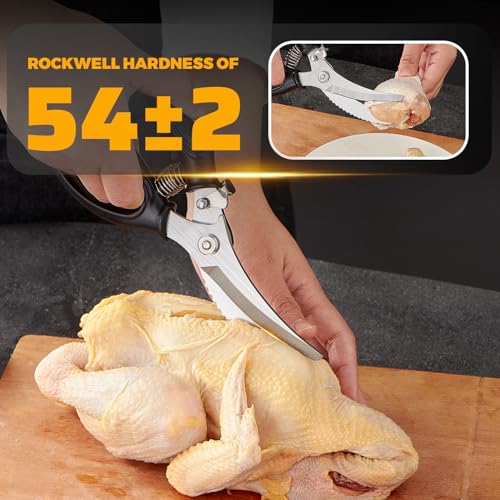 La Mejor Recopilación de Tijeras para aves que puedes comprar esta semana. 5 Imagen adicional