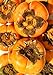 KEJORA Fresh Fuyu Persimmons (4 LB)