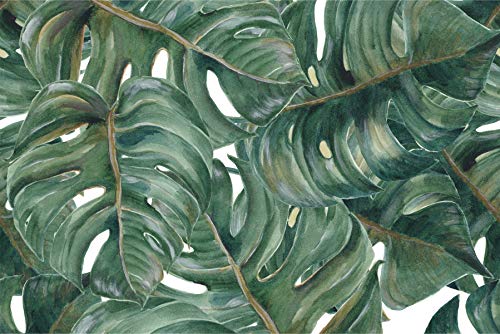 Wallepic WTD Papier peint photo non tissé Motif feuilles de Monstera 90 x 60 cm Format XXL Jungle exotique tropicale pour salon, chambre à coucher, bureau, couloir 90 x 60 cm Cover