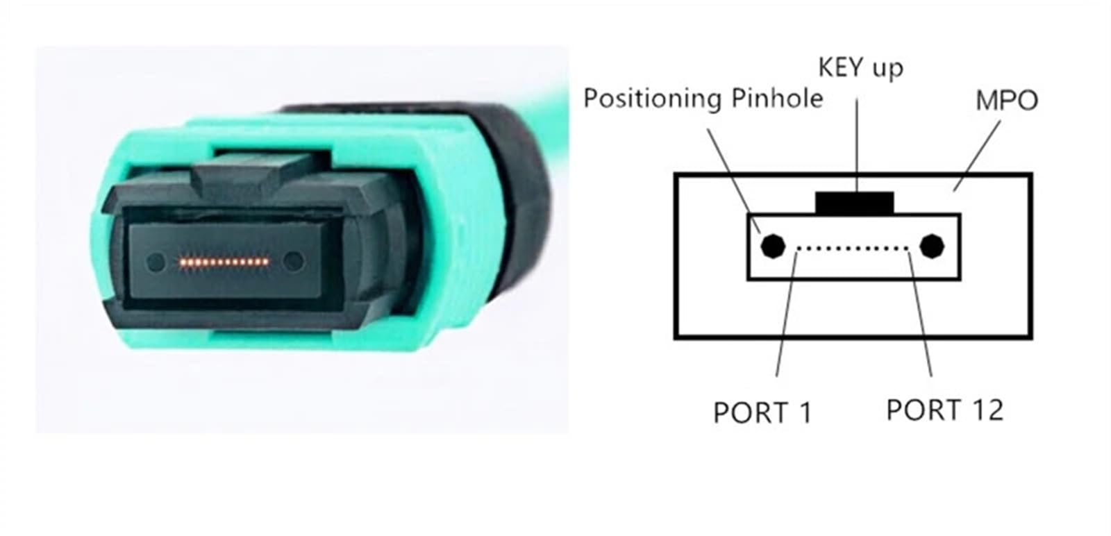 Kabel krosowy OM3-300 8 12 rdzeni typ A typ B okrągły żeński męski 3 m 15 m kabel światłowodowy woda kolor OM3 MTP 12 przewodów rozruchowych (50 m, 12C żeński męski A)