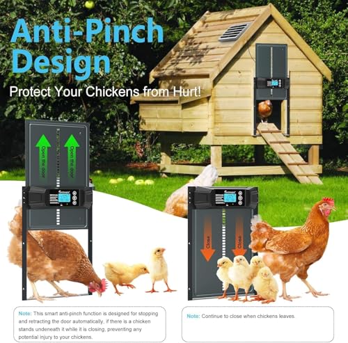 Porta automática de galinheiro alimentada por energia solar, tela LCD, design anti-beliscão, porta d