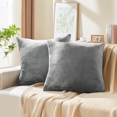 Image of BEDELITE Velvet Pillow Covers with Zipper, Gray, 26x26 Inches, 2 Pack