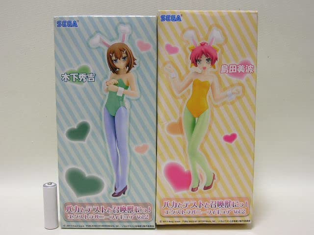 Amazon.co.jp: □ バカとテストと召喚獣にっ! エクストラバニー