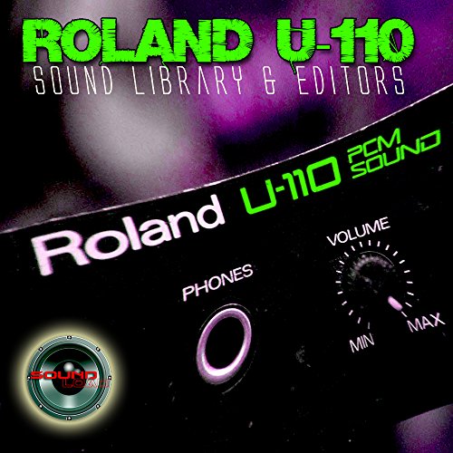 ROLAND U - 110 ʴ  丮  CD ۵ ο  ̺귯  