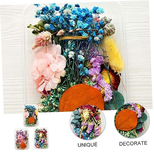 Flores Secas MAGICLULU para Decoración y Manualidades miniatura 3