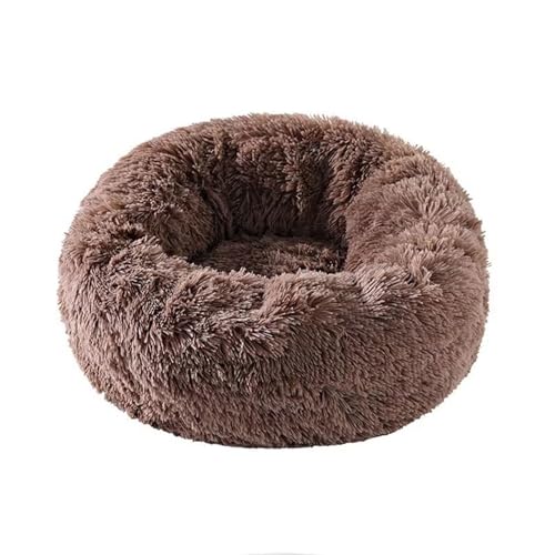 ӂӂLxbhAی^h[icʂ݌xbhAtFCNt@[LpAARsEÌʃfUCA@ΉAJ[ brown M