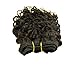 VIOLET Hair 8 Inch Brazilian Deep Curly Weave Hair Short Human Hair 6 Bundles With Closure 100% Unprocessed Human Hair Extensions Black Color Hair Bundles (curly 8 inch, 1B#)