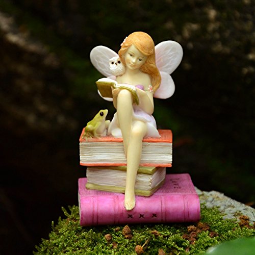 Top Collection Miniatura de jardim e terrário leitura de fadas em livros com sapo e coruja