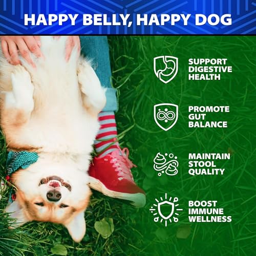 Image of Advanced Probiotics for Dogs for Gut & Digestive Health, Seasonal Allergies & Itchy Skin, Yeast Balance - 6 Billion CFU - Dog Probiotics - Without Yeast - w /Prebiotics, Enzymes, Pumpkin - 120 Treats
