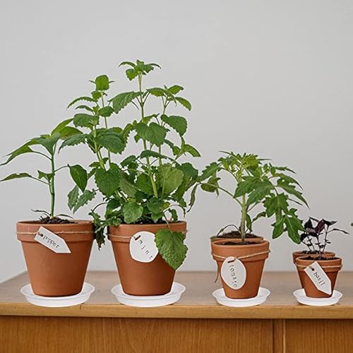 image for Bleuhome 6 Pack of 10 inch Plant Saucer, Heavy Duty Plastic Plant Sauc