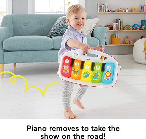 Fisher-Price Baby Gym & Activity Mat, Deluxe Kick & Play Piano Gym With Musical Toys, Lights & Smart Stages Learning #TOP4
