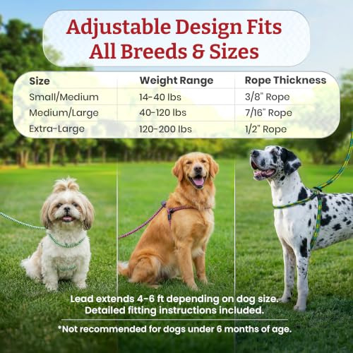 Image of Harness Lead No Pull Dog Harness and Leash Set, Anti Pull Dog Harness, One-Piece Cushioned Rope Safely Prevents Escaping and Pulling (Extra Large, Black Reflective)